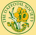 The Daffodil Society The Daffodil Society