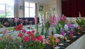 summer show2015 006 (1)