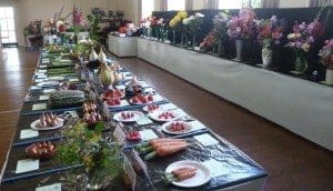 summer show2015 007