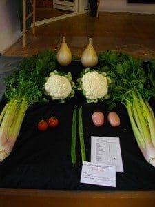 Veg. Collection