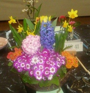 2016 spring show 001