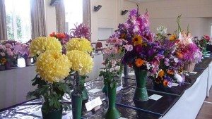 Cut flower section